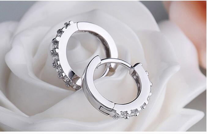 Victoria's Vogue 925 Sterling Silver Hypoallergenic Earrings Zircon Stud Earring for Women Girl Simple Jewelry