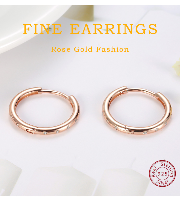 Victoria's Vogue 925 Sterling Silver Round Plated Rose Gold Earrings Small Rings Women's CZ Zircon Hoop Shiny Earrings Fashion New Ear ring Congo
