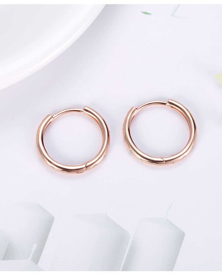 Victoria's Vogue 925 Sterling Silver Round Plated Rose Gold Earrings Small Rings Women's CZ Zircon Hoop Shiny Earrings Fashion New Ear ring Congo