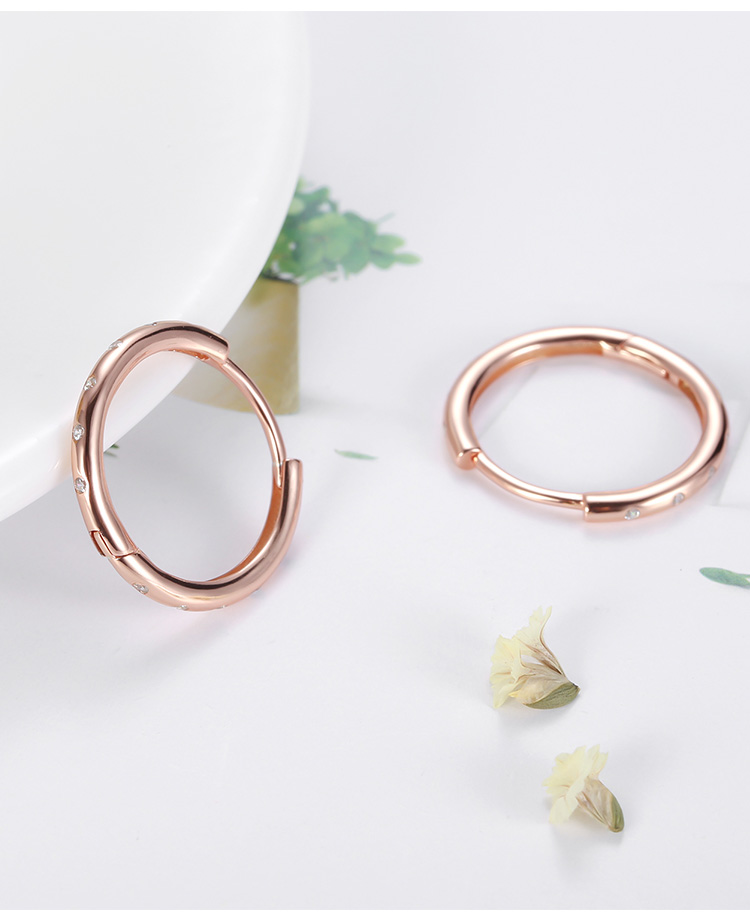 Victoria's Vogue 925 Sterling Silver Round Plated Rose Gold Earrings Small Rings Women's CZ Zircon Hoop Shiny Earrings Fashion New Ear ring Congo