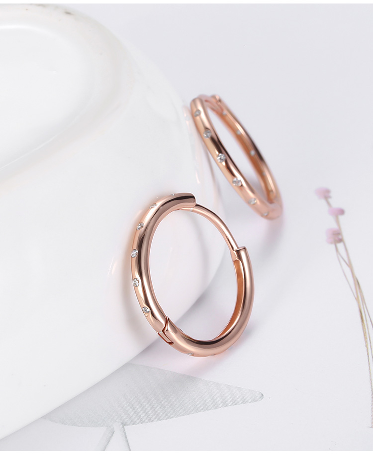 Victoria's Vogue 925 Sterling Silver Round Plated Rose Gold Earrings Small Rings Women's CZ Zircon Hoop Shiny Earrings Fashion New Ear ring Congo