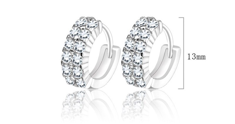 Victoria's Vogue  Original 925 Solid Silver Hypoallergenic Earrings Luxury Double Row Zircon Stud Earring for Women Girl Silver 925 Jewelry