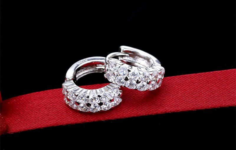 Victoria's Vogue  Original 925 Solid Silver Hypoallergenic Earrings Luxury Double Row Zircon Stud Earring for Women Girl Silver 925 Jewelry
