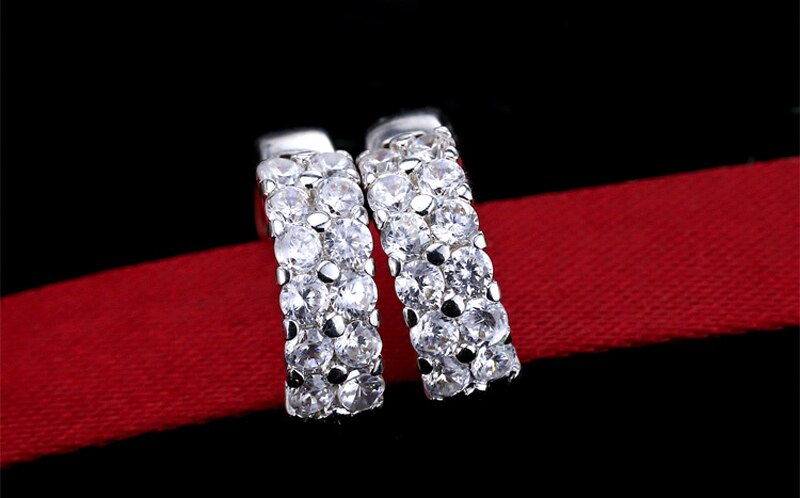 Victoria's Vogue  Original 925 Solid Silver Hypoallergenic Earrings Luxury Double Row Zircon Stud Earring for Women Girl Silver 925 Jewelry