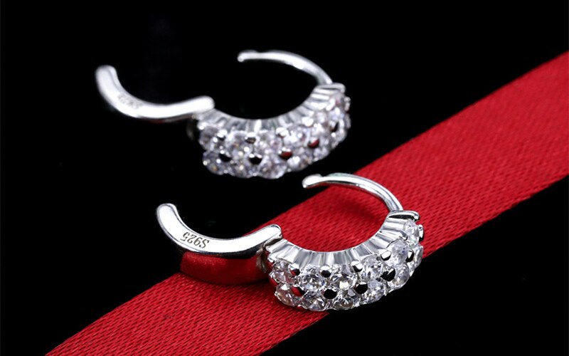 Victoria's Vogue  Original 925 Solid Silver Hypoallergenic Earrings Luxury Double Row Zircon Stud Earring for Women Girl Silver 925 Jewelry