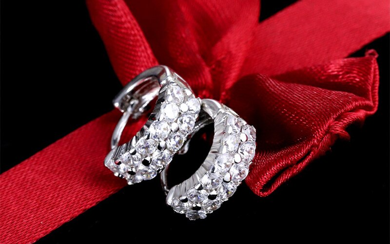 Victoria's Vogue  Original 925 Solid Silver Hypoallergenic Earrings Luxury Double Row Zircon Stud Earring for Women Girl Silver 925 Jewelry