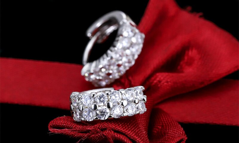 Victoria's Vogue  Original 925 Solid Silver Hypoallergenic Earrings Luxury Double Row Zircon Stud Earring for Women Girl Silver 925 Jewelry