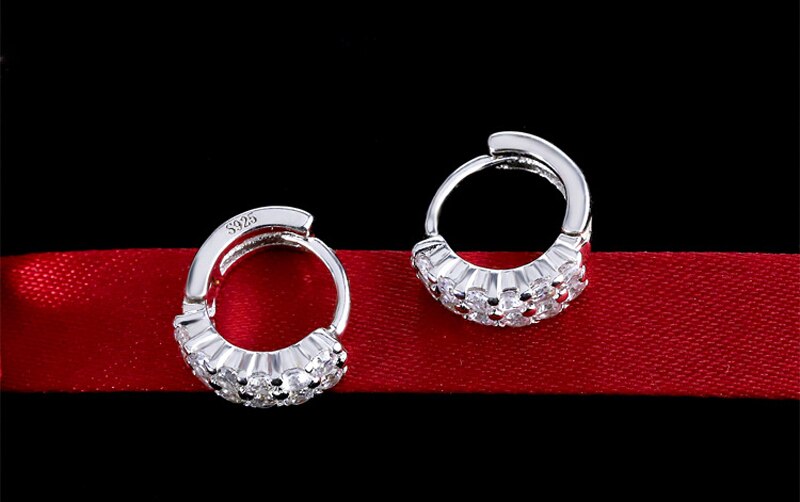 Victoria's Vogue  Original 925 Solid Silver Hypoallergenic Earrings Luxury Double Row Zircon Stud Earring for Women Girl Silver 925 Jewelry