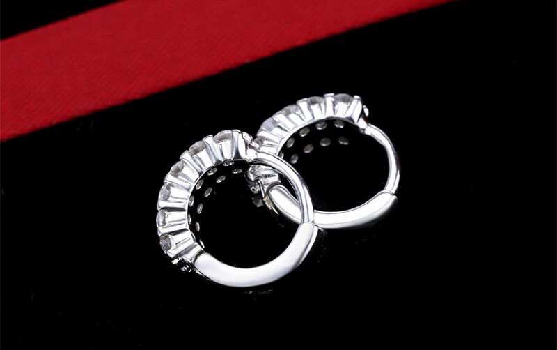 Victoria's Vogue  Original 925 Solid Silver Hypoallergenic Earrings Luxury Double Row Zircon Stud Earring for Women Girl Silver 925 Jewelry