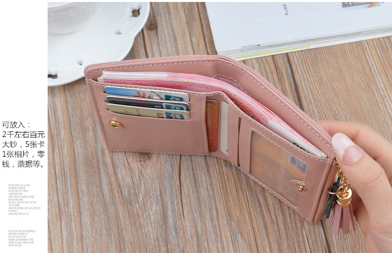 Victoria's Vogue Geometric Women Wallets with Zipper Pink Phone Pocket Purse Card Holder Patchwork Women Long Wallet Lady Tassel Short Coin Purse